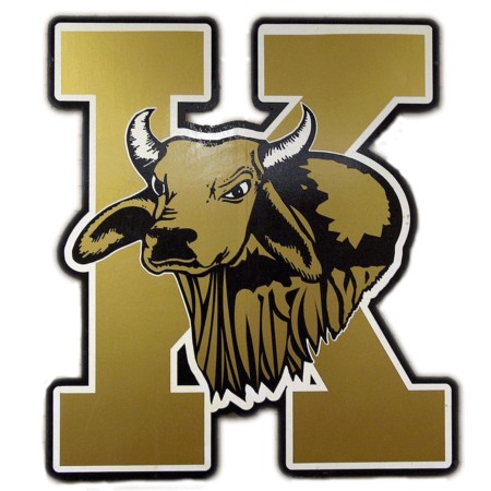 District Logo